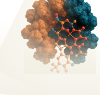 Aromatase