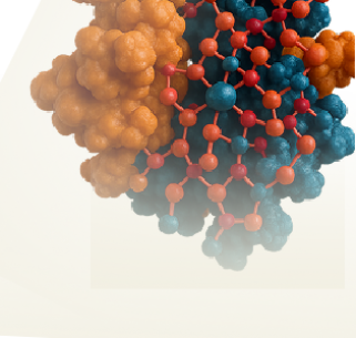 BTD (Biotinidase)